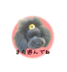 りとる、ときどき、ある。（個別スタンプ：22）