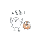 Zoo and Lu Lu（個別スタンプ：8）
