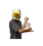 Shocking Duck（個別スタンプ：1）