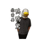 Shocking Duck（個別スタンプ：3）
