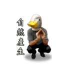 Shocking Duck（個別スタンプ：5）