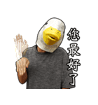 Shocking Duck（個別スタンプ：7）
