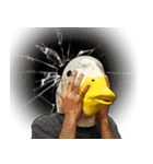 Shocking Duck（個別スタンプ：13）