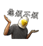 Shocking Duck（個別スタンプ：19）