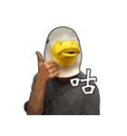 Shocking Duck（個別スタンプ：20）