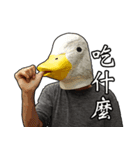 Shocking Duck（個別スタンプ：33）