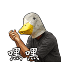 Shocking Duck（個別スタンプ：37）
