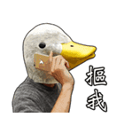 Shocking Duck（個別スタンプ：38）