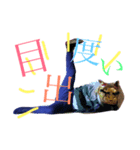 ごんちゃんと福の神（個別スタンプ：4）