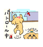 なかよしわんこ会(マルプー＆トイプードル)（個別スタンプ：36）