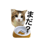 M＆S vol.01（個別スタンプ：7）
