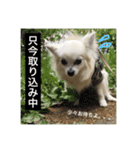 M＆S vol.01（個別スタンプ：13）