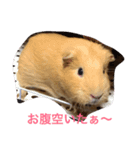 日常的な出来事（個別スタンプ：1）