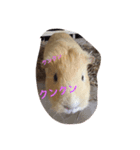 日常的な出来事（個別スタンプ：5）