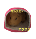 日常的な出来事（個別スタンプ：8）