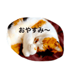 ゆぃ＆もぁ（個別スタンプ：1）