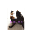 ゆぃ＆もぁ（個別スタンプ：4）