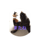 ゆぃ＆もぁ（個別スタンプ：5）