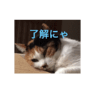 ゆぃ＆もぁ（個別スタンプ：6）
