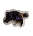 ゆぃ＆もぁ（個別スタンプ：7）