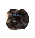 ゆぃ＆もぁ（個別スタンプ：8）