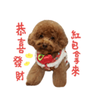 Q Lu（個別スタンプ：1）