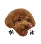 Q Lu（個別スタンプ：4）