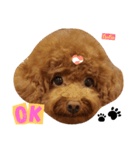 Q Lu（個別スタンプ：7）
