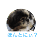 ギッズモ（個別スタンプ：2）