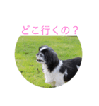 ギッズモ（個別スタンプ：8）
