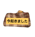 marorokami（個別スタンプ：7）