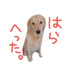 ぶもぉぉぉ（個別スタンプ：3）