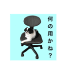 狆スタンプ（個別スタンプ：2）