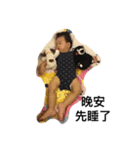kayson life（個別スタンプ：7）