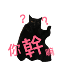 Black and white cat family（個別スタンプ：5）