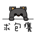MR. pang pang bear（個別スタンプ：38）
