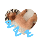 ふぁむ 愛犬（個別スタンプ：2）