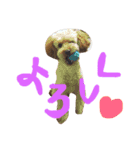 ふぁむ 愛犬（個別スタンプ：3）