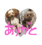 ふぁむ 愛犬（個別スタンプ：7）