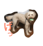 クッキー アンド ハル 2（個別スタンプ：14）