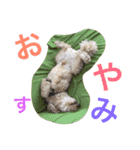 クッキー アンド ハル 2（個別スタンプ：23）