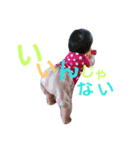 えまスタ（個別スタンプ：4）
