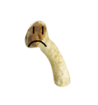 oh！mushroom（個別スタンプ：3）