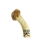 oh！mushroom（個別スタンプ：7）