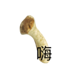 oh！mushroom（個別スタンプ：8）