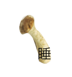 oh！mushroom（個別スタンプ：9）