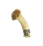 oh！mushroom（個別スタンプ：10）