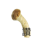 oh！mushroom（個別スタンプ：12）