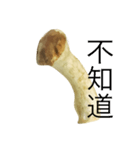 oh！mushroom（個別スタンプ：13）