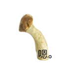 oh！mushroom（個別スタンプ：15）